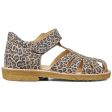 Angulus Sandal M. Kardborreband Leopard Online