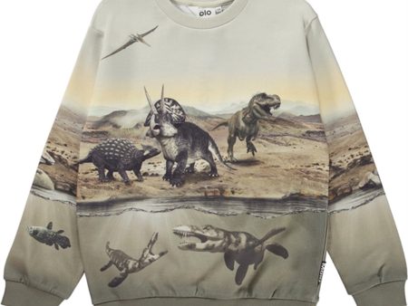 Molo Dry Land Dinos Miksi Sweatshirt Supply