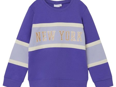 Name it Purple Corallites Barb Sweatshirt For Sale