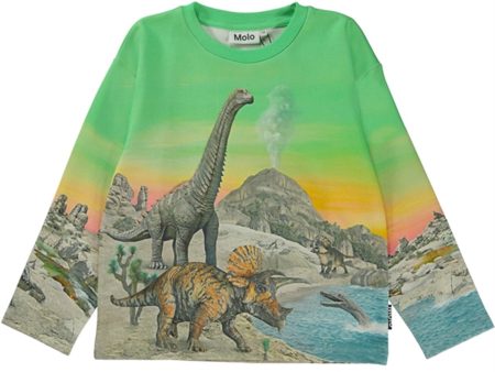 Molo Colourful Dinos Mountoo Sweatshirt on Sale