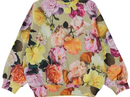 Molo Cardboard Roses Monti Sweatshirt Supply