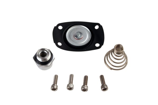 Aeromotive Carb Regulator Repair Kit (for 13201 13205 13211 13215 13217 13251 13255) Online Hot Sale